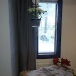 Wolf Street Snow Dream Huoneisto Rovaniemi