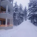 Wolf Street Snow Dream *