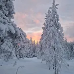 Wolf Street Snow Dream Huoneisto Rovaniemi