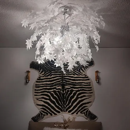 Wolf Street Snow Dream