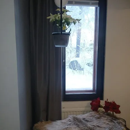 Wolf Street Snow Dream Apartmán Rovaniemi