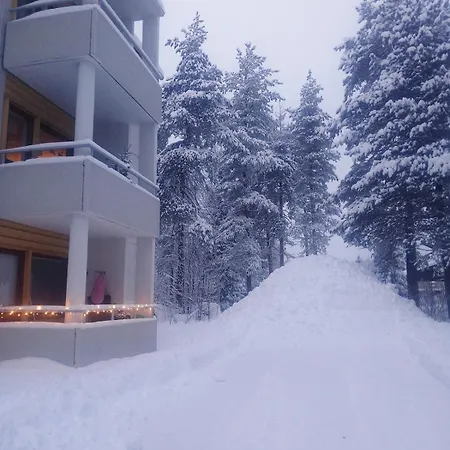 Wolf Street Snow Dream *
