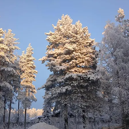 Wolf Street Snow Dream アパート *