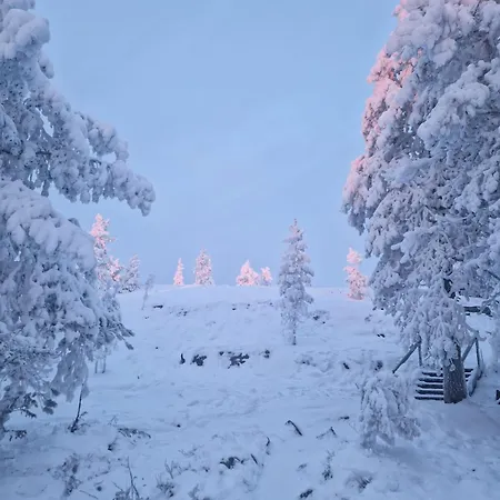 Wolf Street Snow Dream Apartmán Rovaniemi