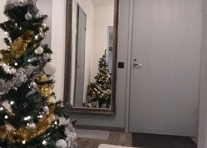 Wolf Street Snow Dream Rovaniemi