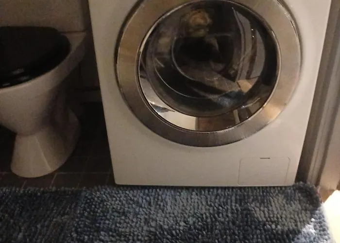 Wolf Street Snow Dream ロヴァニエミ