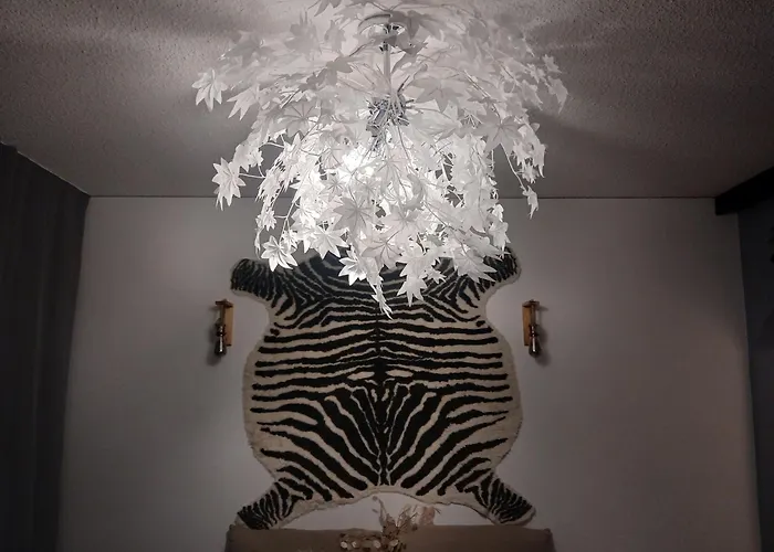 Wolf Street Snow Dream