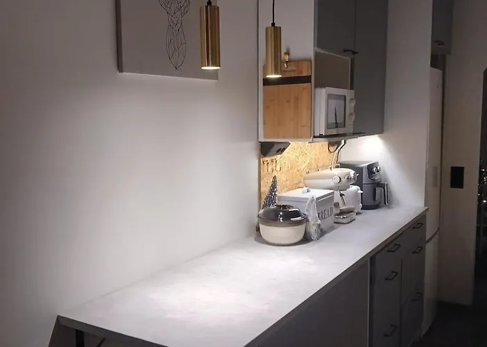 Wolf Street Snow Dream アパート ロヴァニエミ