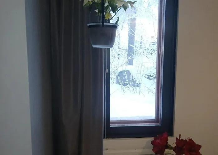 Wolf Street Snow Dream Lägenhet Rovaniemi