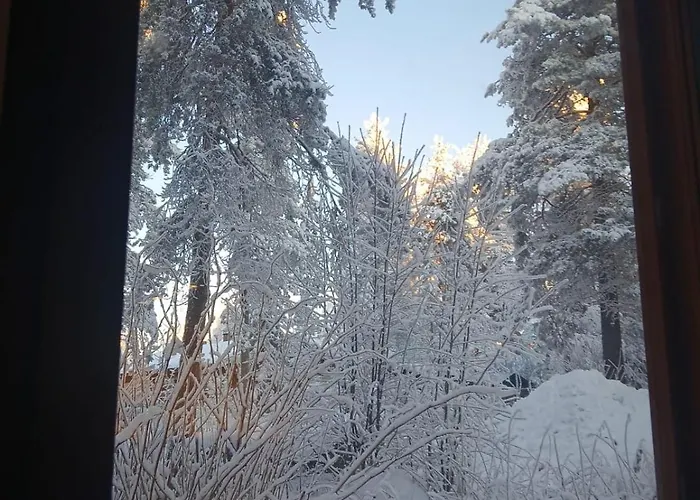 Wolf Street Snow Dream Lägenhet