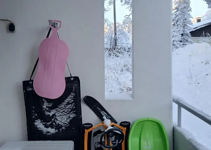 Wolf Street Snow Dream アパート