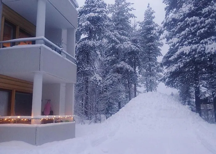 Wolf Street Snow Dream *