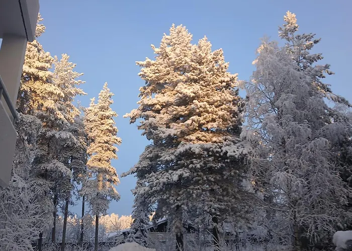 Wolf Street Snow Dream アパート *