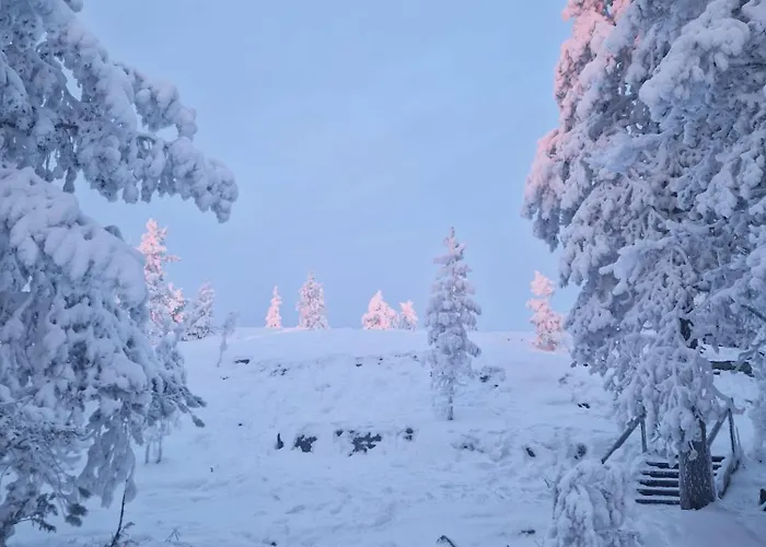 Wolf Street Snow Dream Lägenhet Rovaniemi