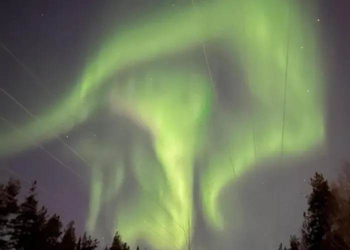 Wolf Street Snow Dream アパート *