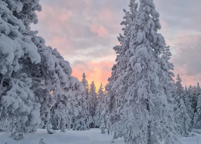 Wolf Street Snow Dream アパート ロヴァニエミ