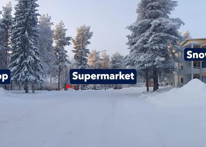 Wolf Street Snow Dream